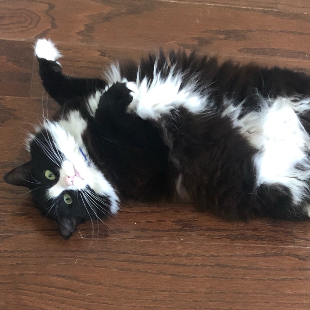 Meet your Posher, Candice